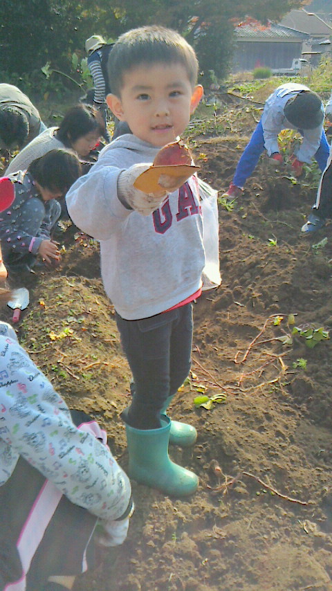 芋掘り5
